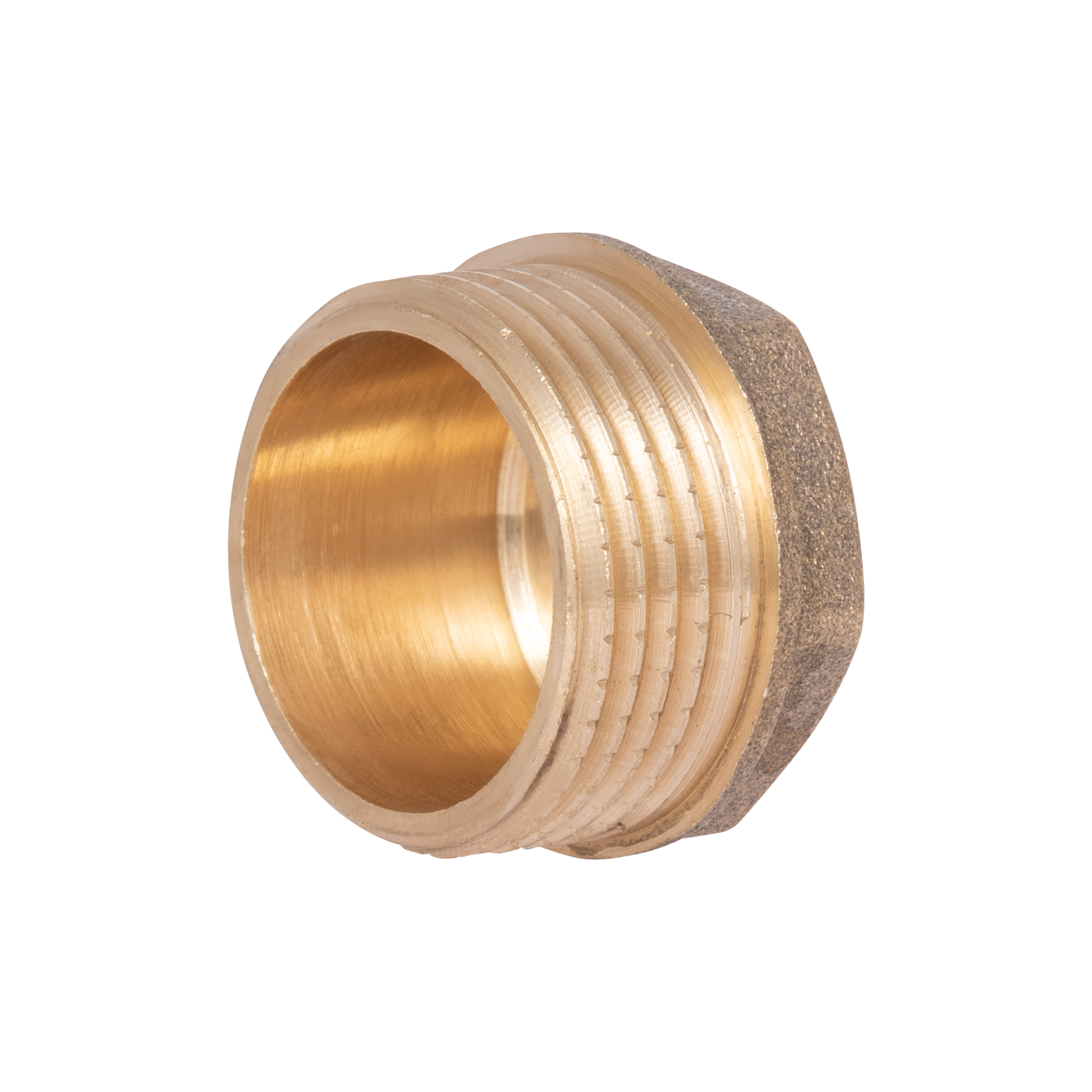 Заглушка Thermo Alliance Standart 1" ЗР SD40325