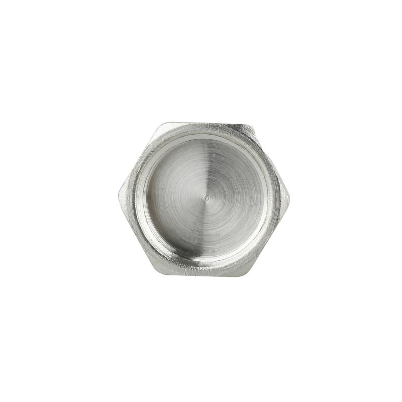 Заглушка Thermo Alliance Forte 1/2" ВР SF35215 — фото 4