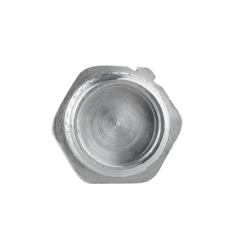 Заглушка Thermo Alliance Forte 1/2" ЗР хром SF353H15 — фото 4