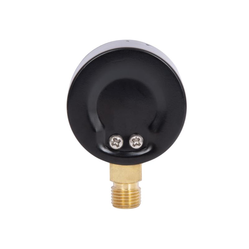 Манометр Thermo Alliance Standart 10 бар 1/4", нижнє підмикання SD17010B — фото 6