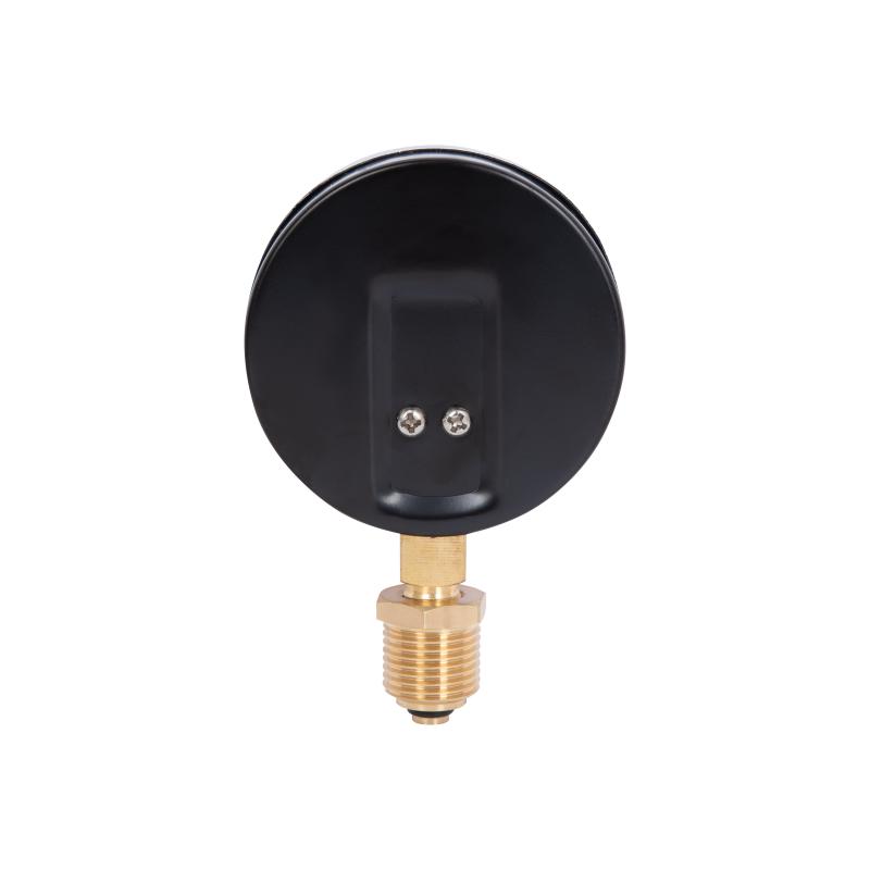 Термоманометр Thermo Alliance Standart 80 мм 1/2", нижнє підмикання SD1726B — фото 6