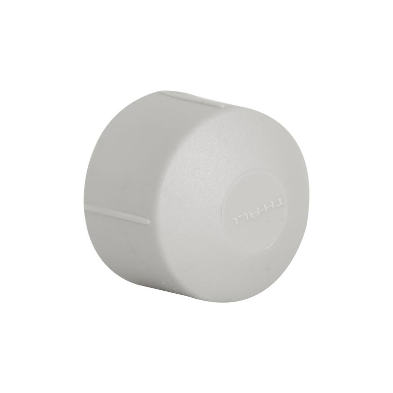 Заглушка PPR Thermo Alliance 25 Заглушка PPR Thermo Alliance 25