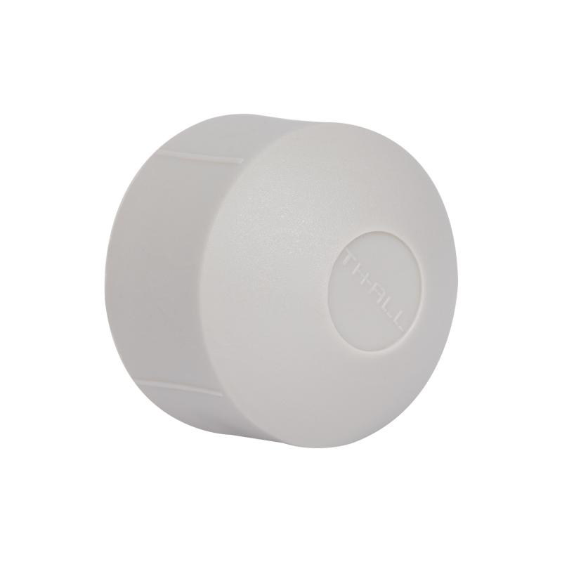 Заглушка PPR Thermo Alliance 32 Заглушка PPR Thermo Alliance 32