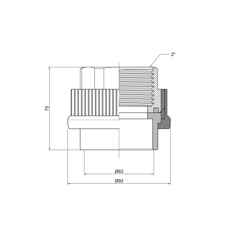 Муфта PPR Thermo Alliance 63х2" ВР — фото 2