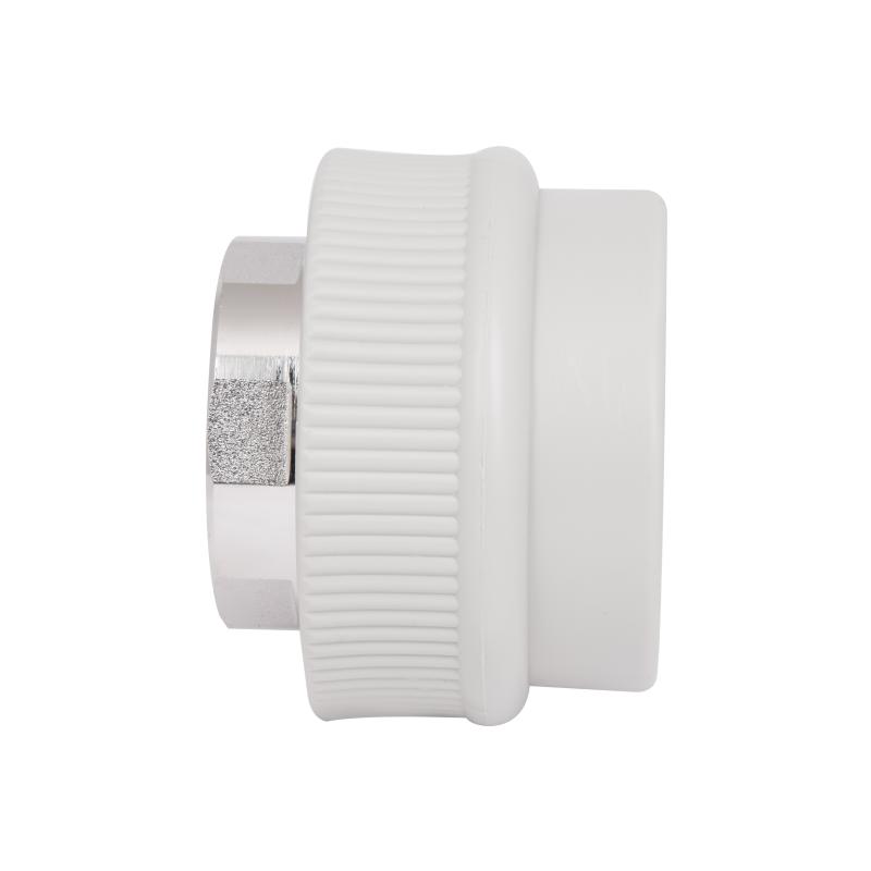 Муфта PPR Thermo Alliance 63х2" ВР — фото 4