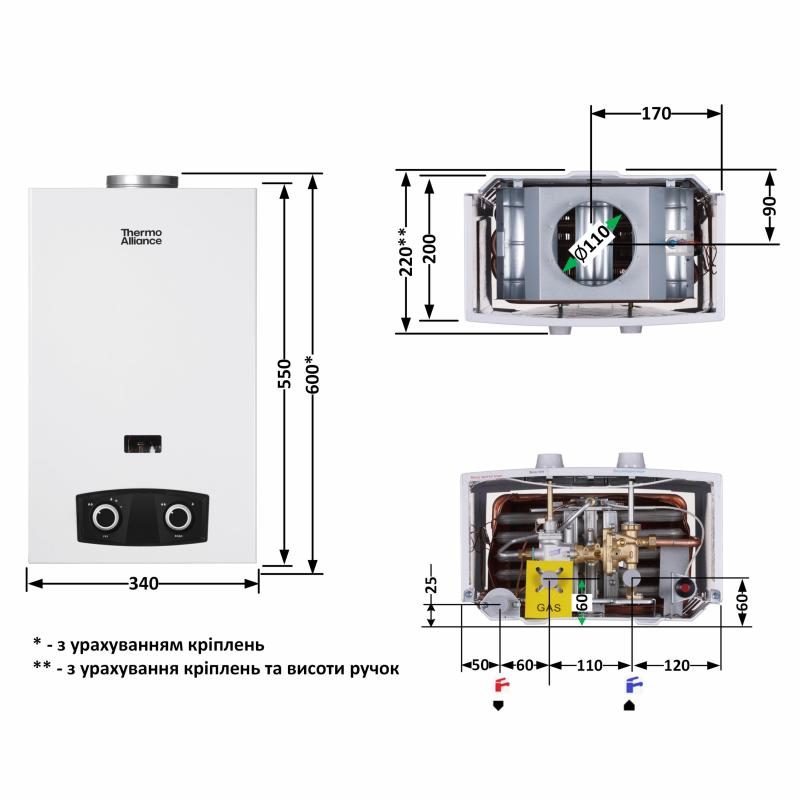 Колонка газова димохідна Thermo Alliance JSD20-10YD PIEZO 10 л — фото 2